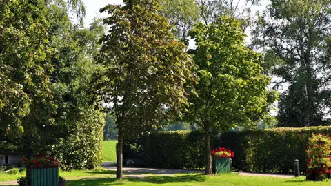 Camping De Peelkant