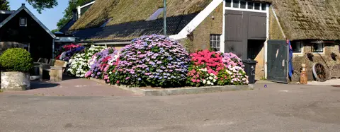 Camping en Kampeerboerderij Groen