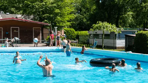 Camping Rijsterbos