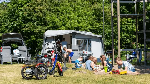 Camping Rijsterbos