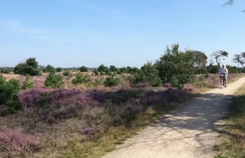 Camping de Peel