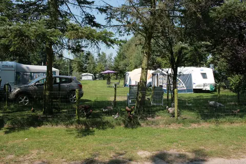 De Stuwe