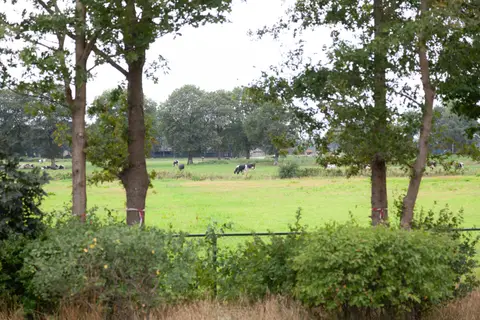 NCC Terrein De Rolle