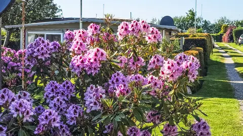 Campingpark Schlei-Karschau