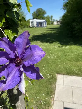 De Roskamp