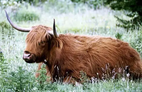Buitenplaats Drenthe