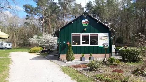 De Krententerp