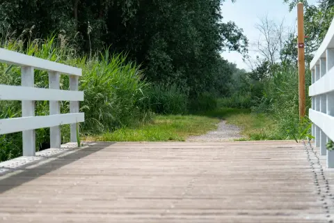 Camping 't Wisentbos