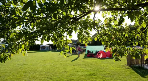 Camping Pieterom