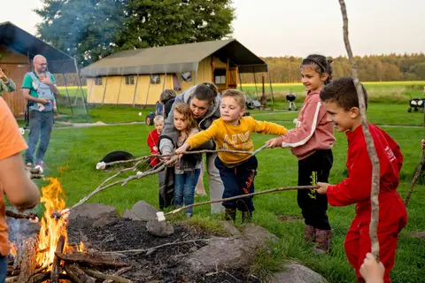 Camping 't Looveld