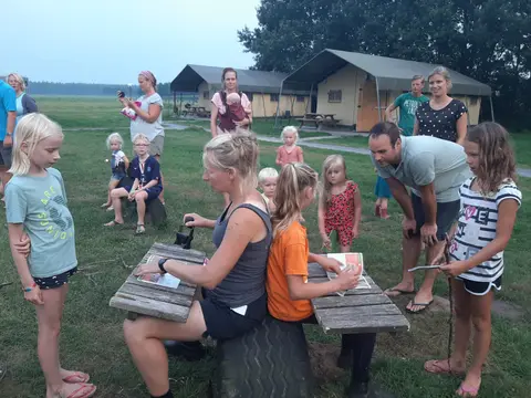 Camping 't Looveld