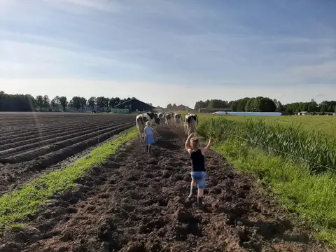 Camping 't Looveld