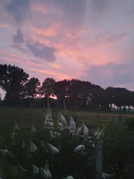 SVR Camping Hazehof