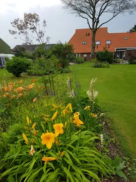 SVR Camping Hazehof