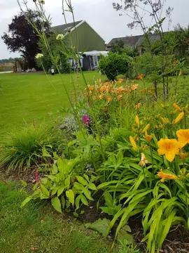 SVR Camping Hazehof