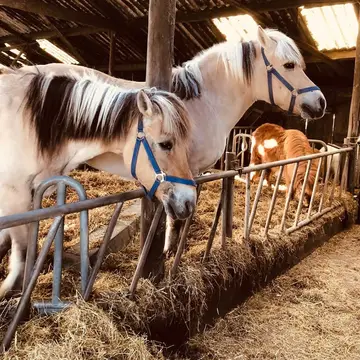 Hoeve Sonneclaer