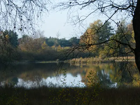 Camping 't Holtingerzand
