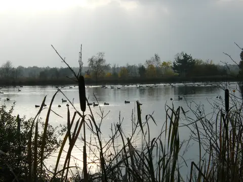 Camping 't Holtingerzand