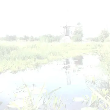 Camping Huis in 't Veld