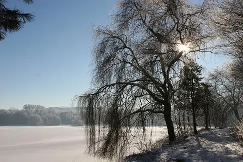 Campingplatz Teutoburger Waldsee