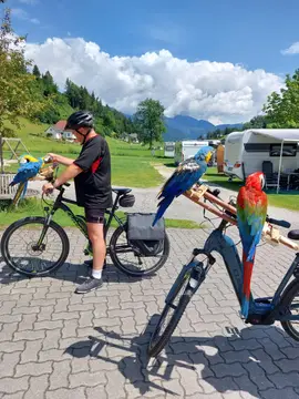 Camping Putterersee