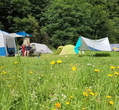 Moselcampingplatz Pünderich