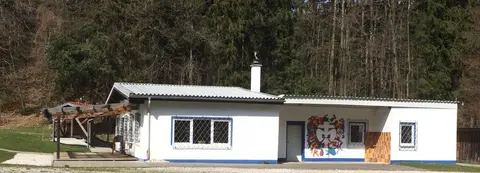Bärenbachzeltplatz