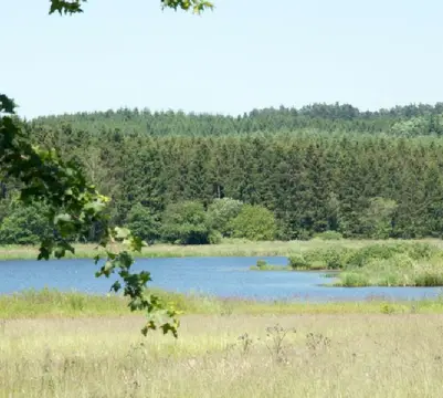 Jungferweiher