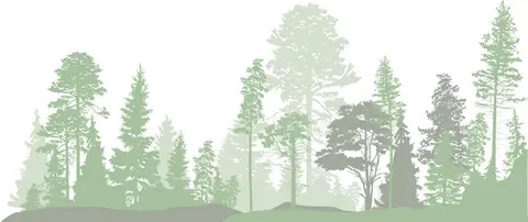 Augustenhof Strand Camping