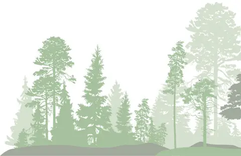 Augustenhof Strand Camping