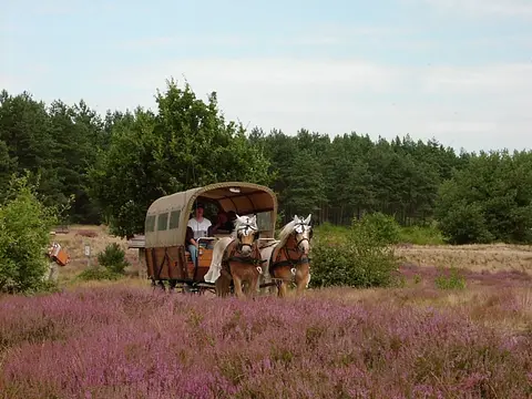 Campingplatz & Mobilheimpark Bad Bodenteich