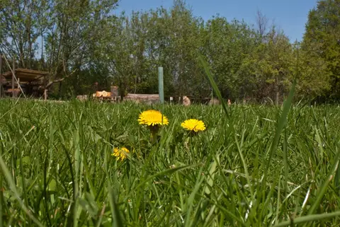 DPSG Lagerplatz Neuhausen