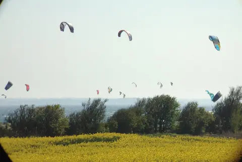 Skovmose Camping
