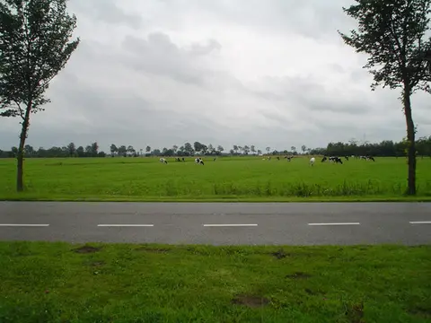 de Greidpôlle