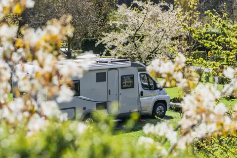 Camping Gloria Vallis