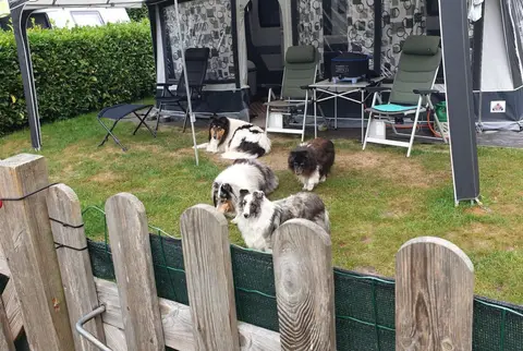 Mini-camping De Hofstee
