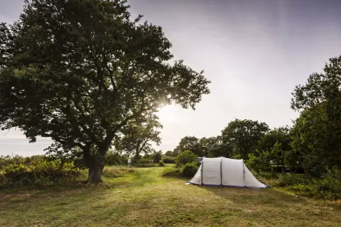 Møn Strandcamping