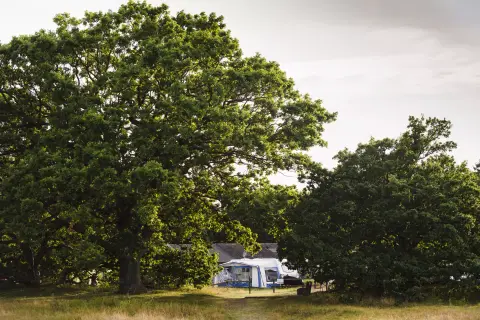 Møn Strandcamping