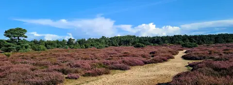 Camping De Berken
