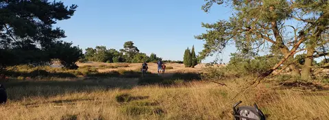 Camping De Berken