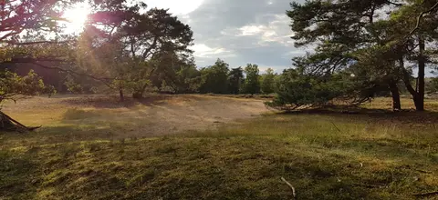 Camping De Berken