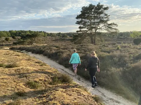 Landschapscamping Sparrenhof