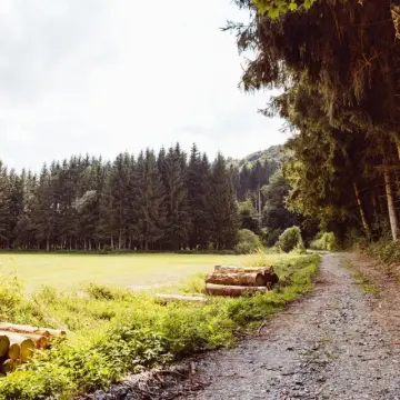 Camping Woltzdal
