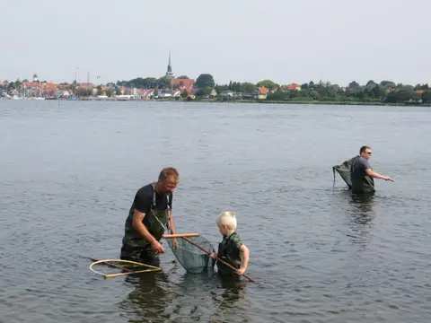 Nysted Strand Camping