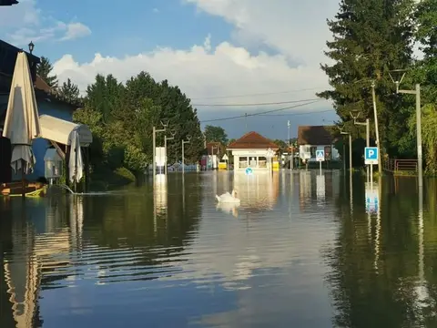 Les Bords du Rhin