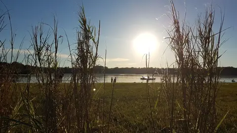 Les Bords du Rhin