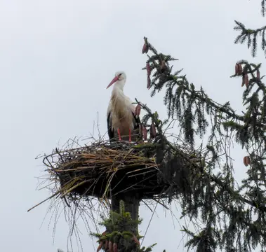 Freizeitpark Rethemer Fähre GmbH