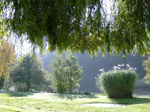 Campingplatz Cimbria Neckarzimmern