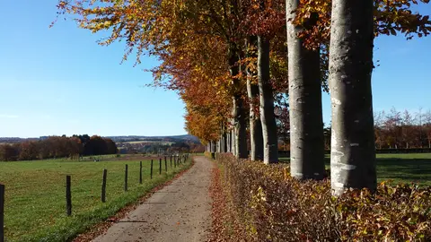 Zum Jone Bur