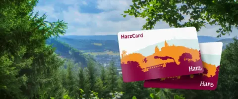 Harz Camp Göttingerode